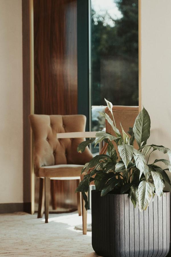 New Hotel อิลิดชา ภายนอก รูปภาพ